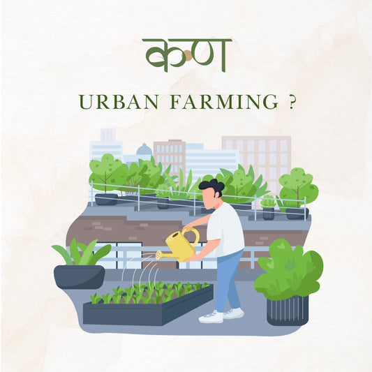 What is Urban Farming?