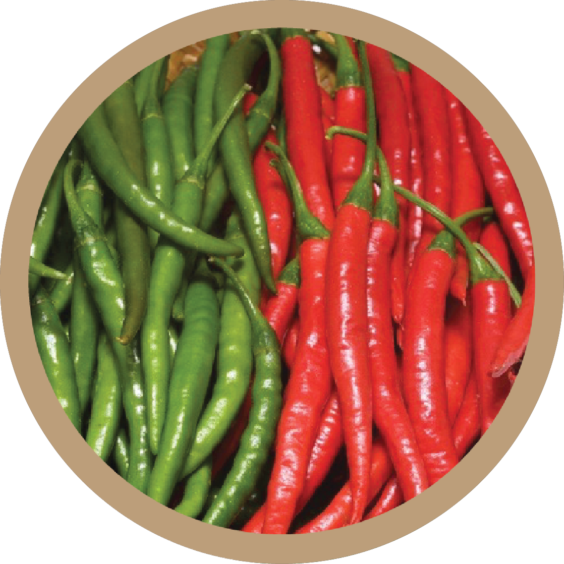 Kern 223 Hybrid Green Chilli