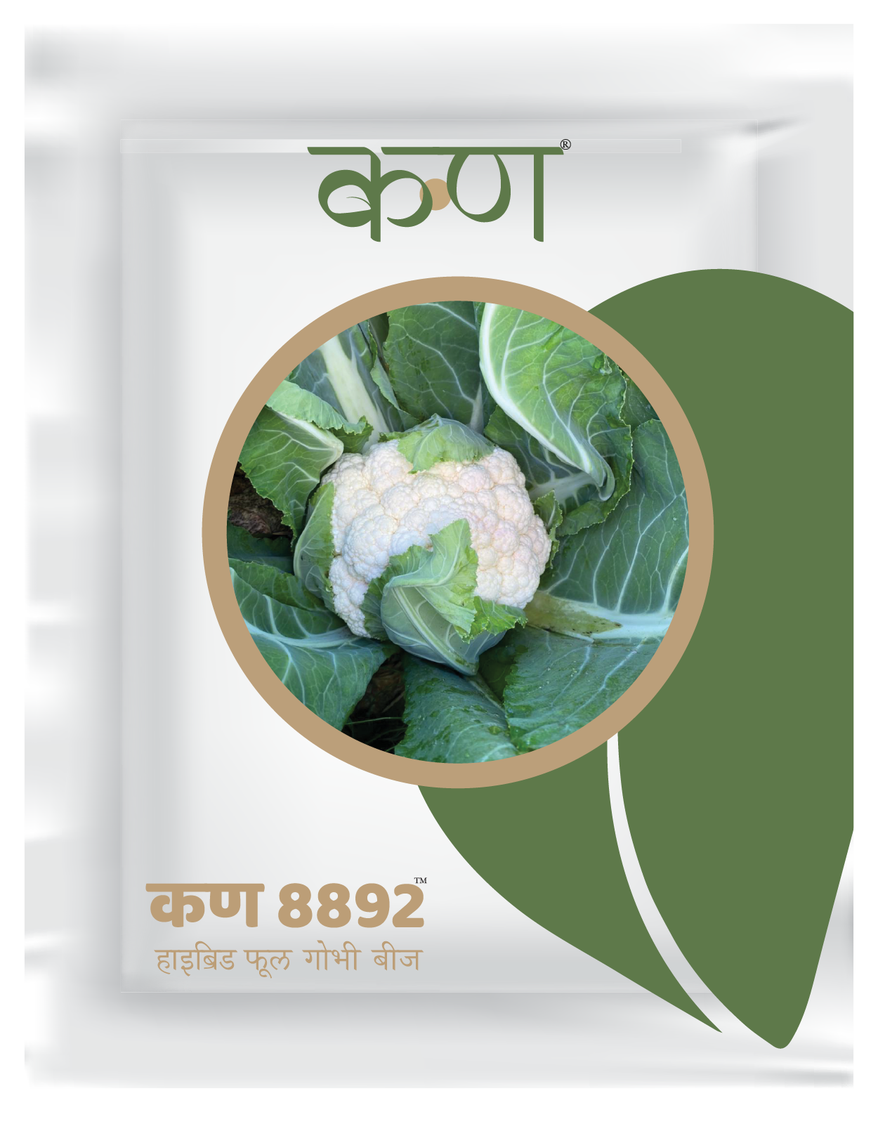 Kern 8892 F1 Cauliflower