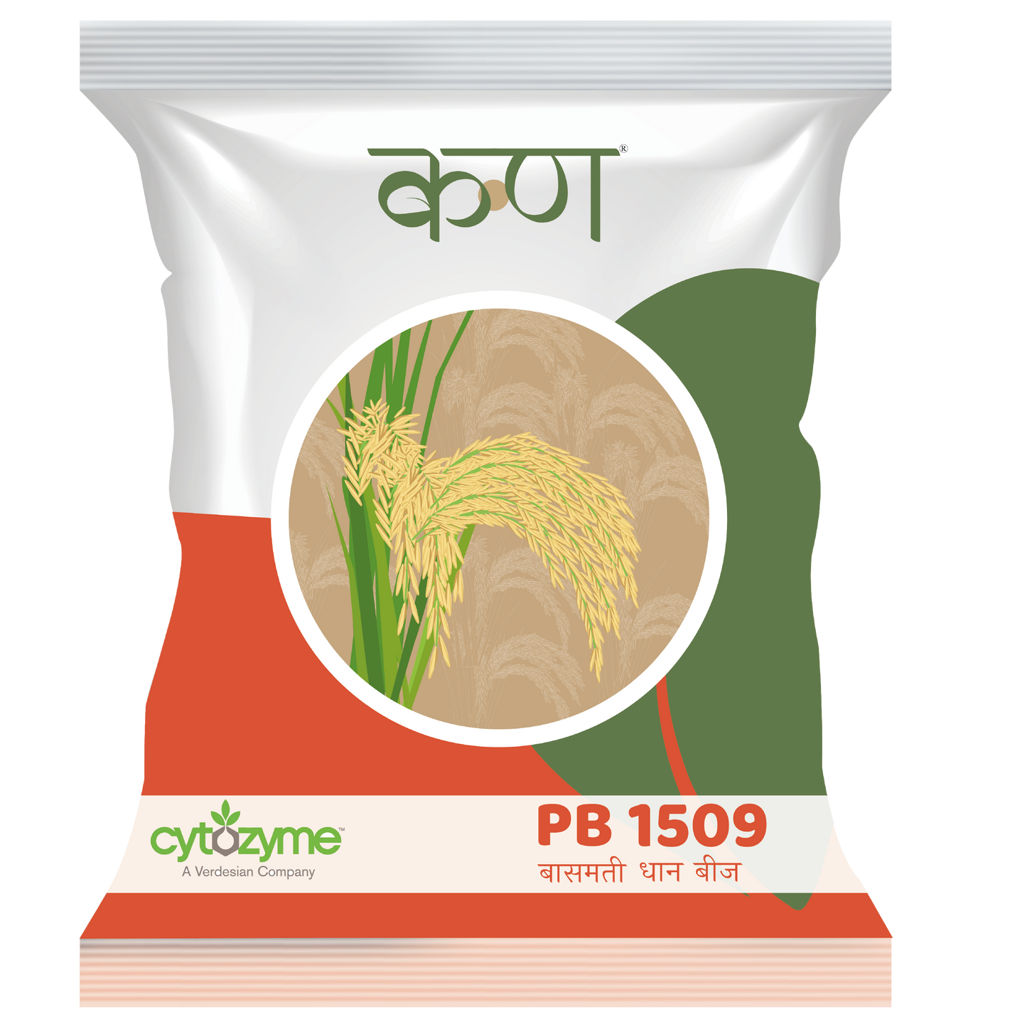 PB 1509 Paddy Basmati