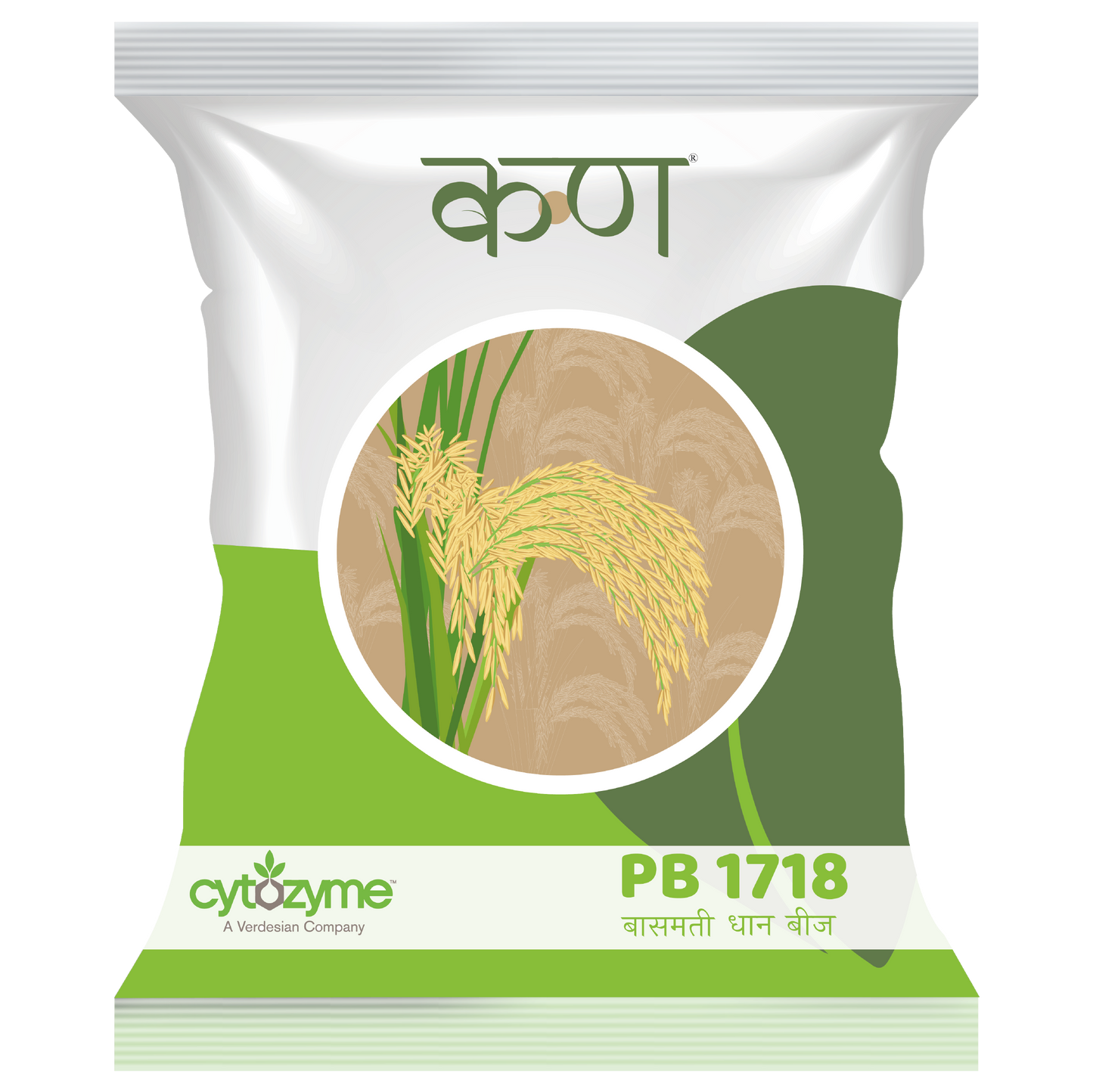 PB 1718 Paddy Basmati