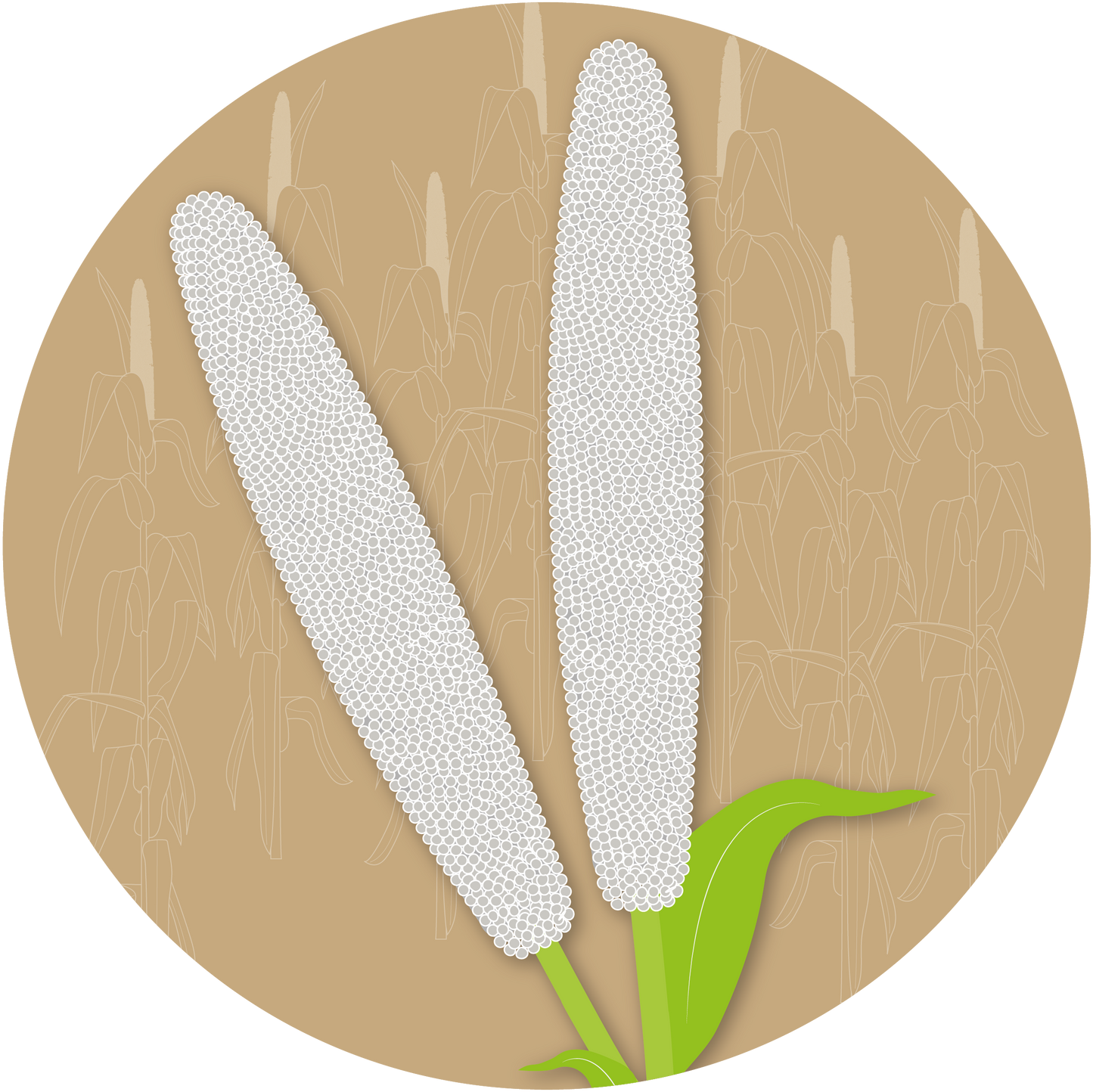Kern 515 F1 Grain Bajra