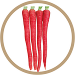 Kern 313 Desi Red Carrot