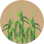 Multifort F1 Multicut White SSG