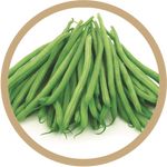 Kern 474 French Beans