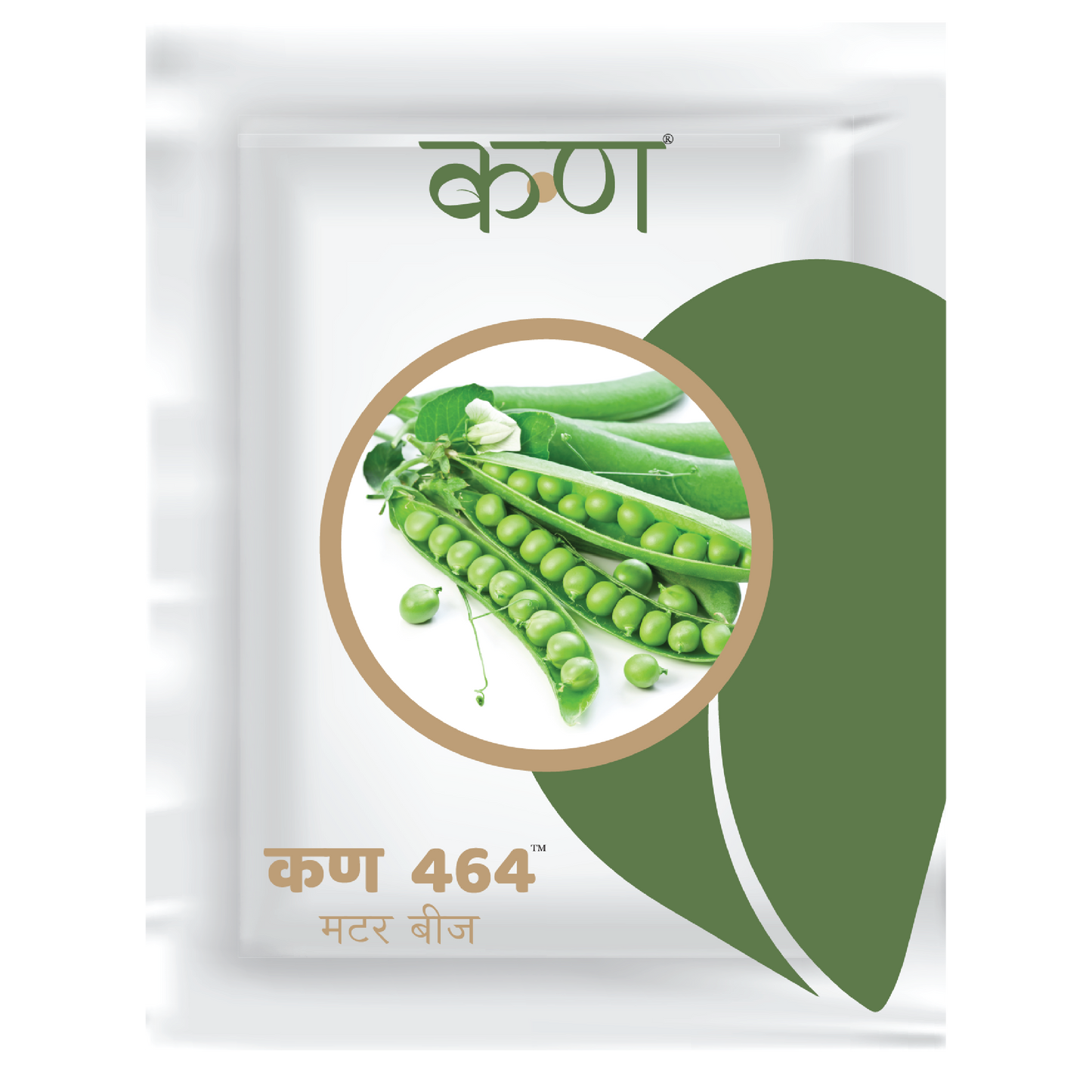 Kern 464 Peas