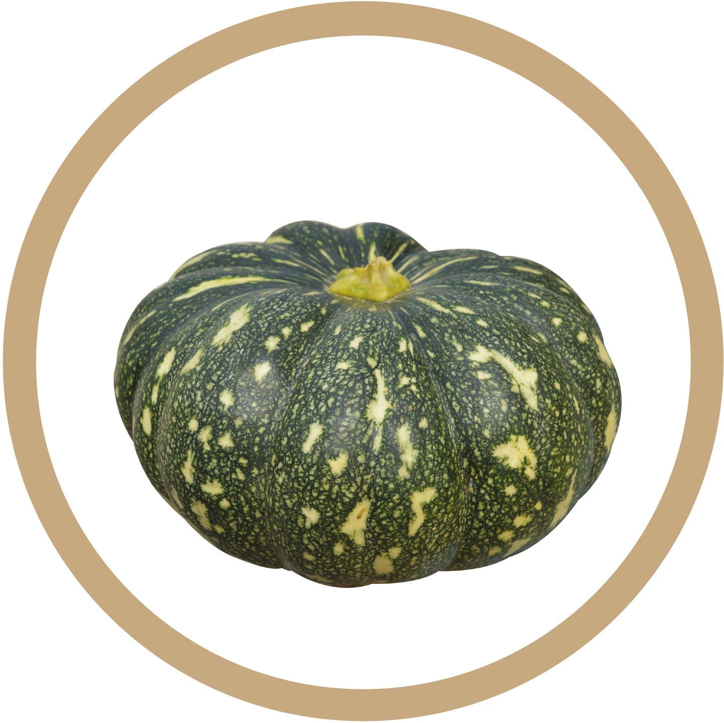 Kern 455 F1 Pumpkin