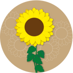 Kern 633 F1 Sunflower