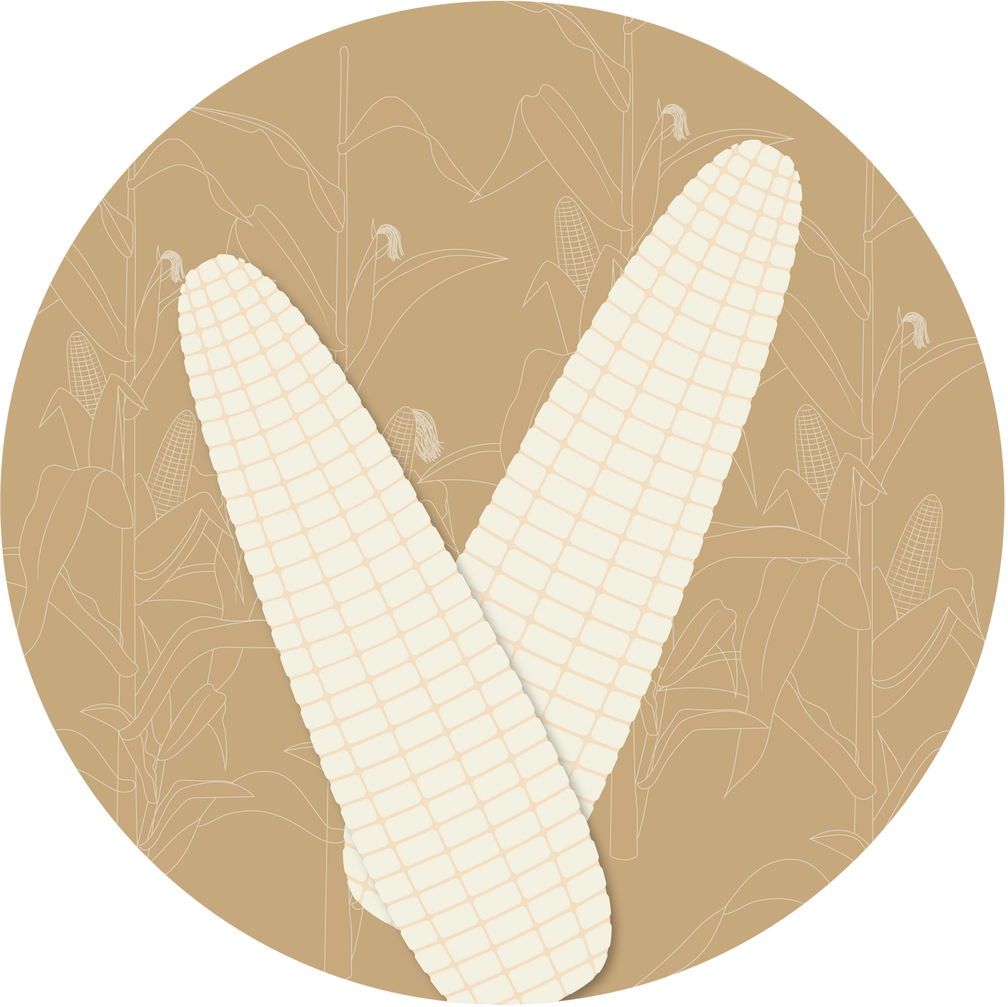 Kern 112 F1 White Maize