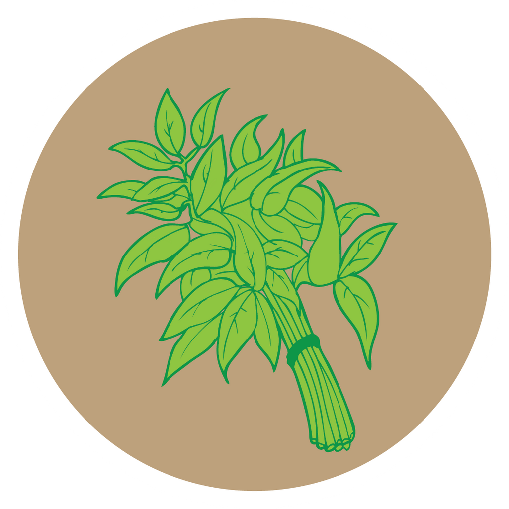 Kern 101 Booti Grass