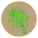 Kern 101 Booti Grass