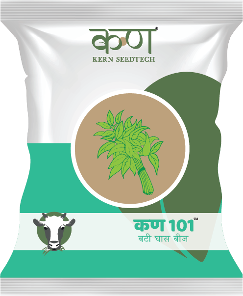 Kern 101 Booti Grass