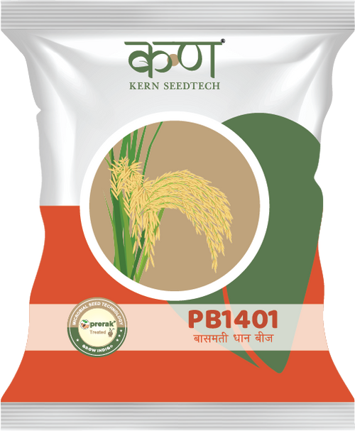 PB 1401 Paddy Basmati
