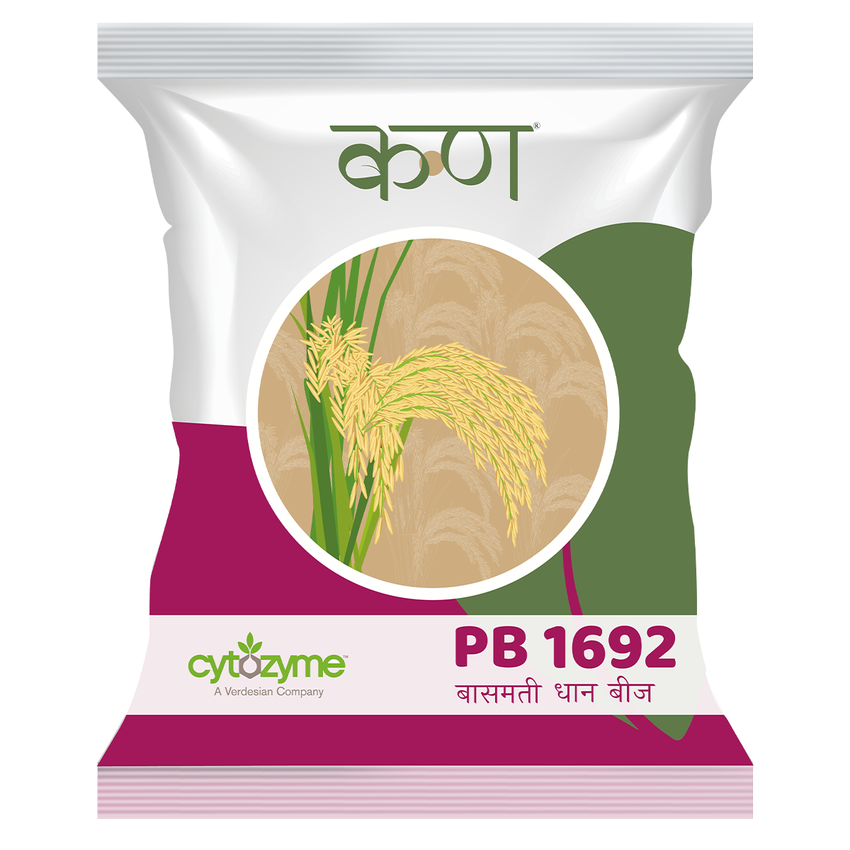 PB 1692 Paddy Basmati
