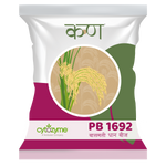 PB 1692 Paddy Basmati