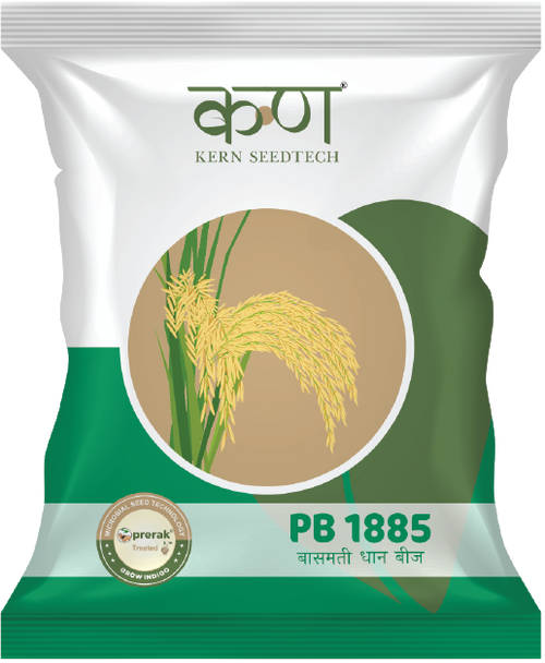 PB 1885 Paddy Basmati