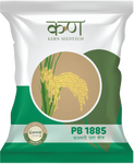 PB 1885 Paddy Basmati