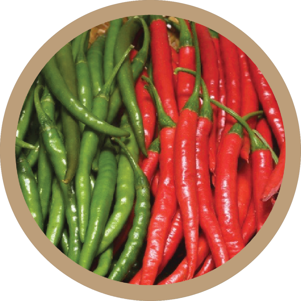 Kern 223 Hybrid Green Chilli