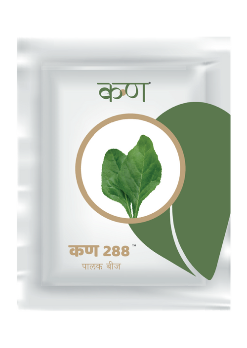 Kern 288 OP Spinach