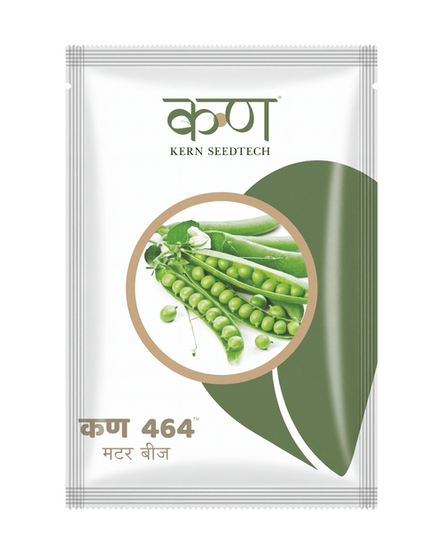 Kern 464 Peas