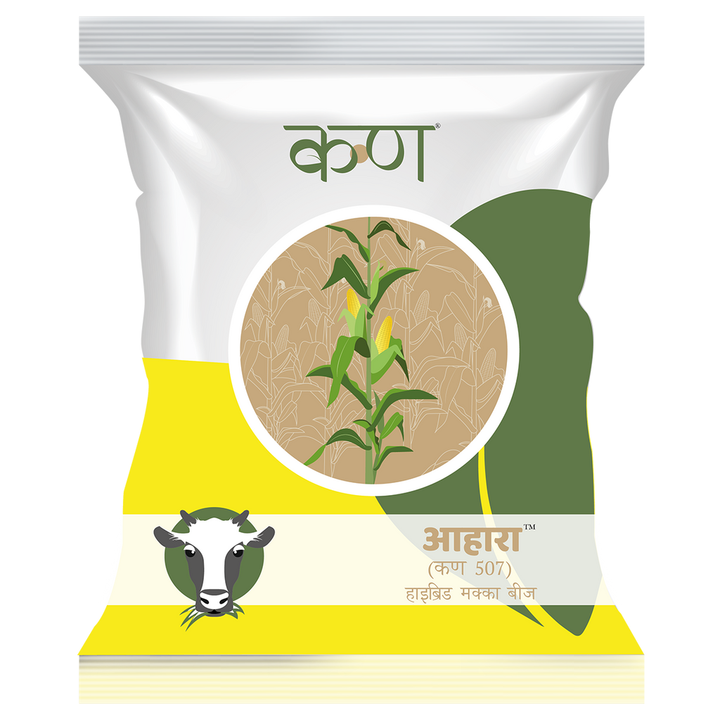 Aahara F1 Forage Maize
