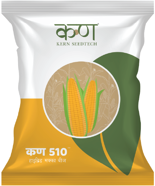 Kern 510 F1 Spring Maize