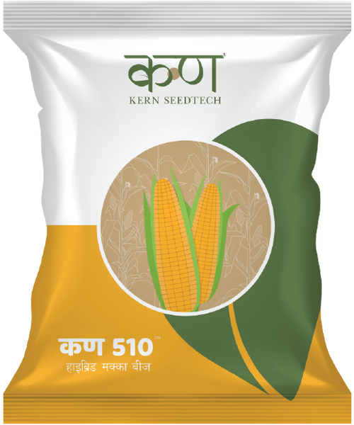 Kern 510 F1 Spring Maize
