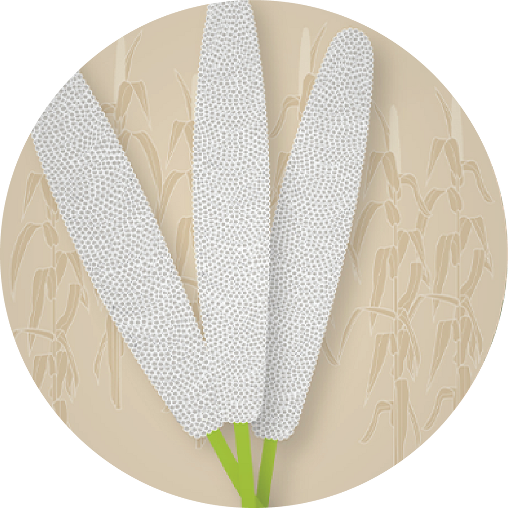 Kern 515 F1 Grain Bajra