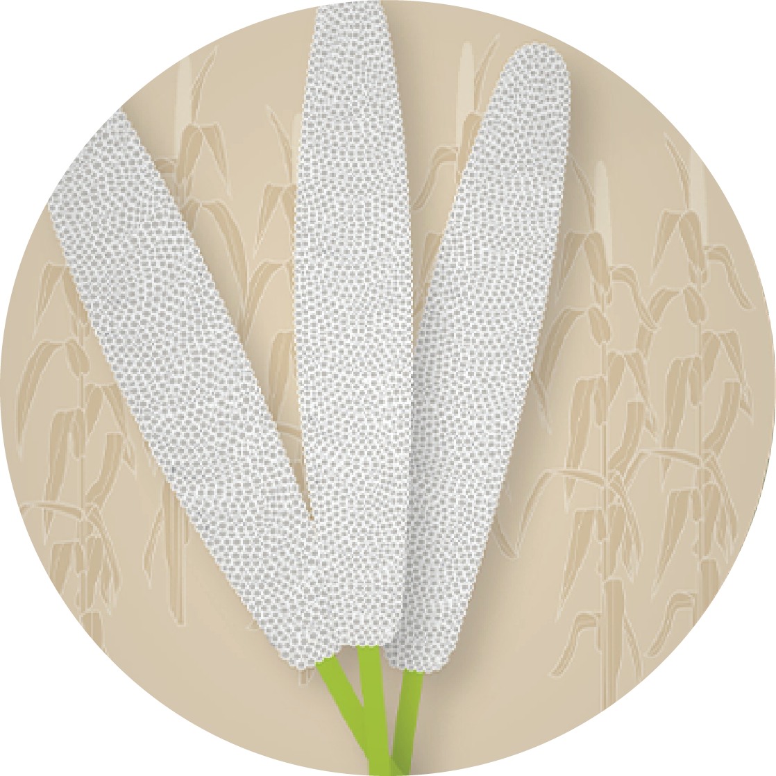 Kern 515 F1 Grain Bajra