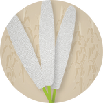 Kern 515 F1 Grain Bajra