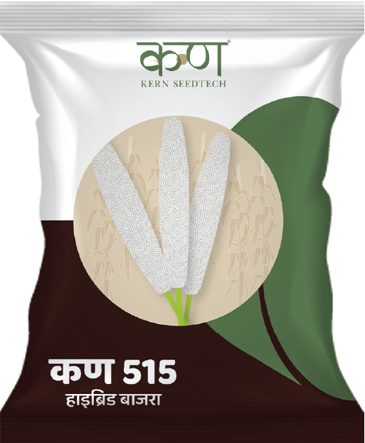 Kern 515 F1 Grain Bajra