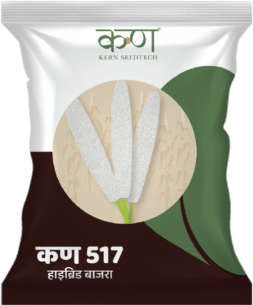 Kern 517 F1 Grain Bajra