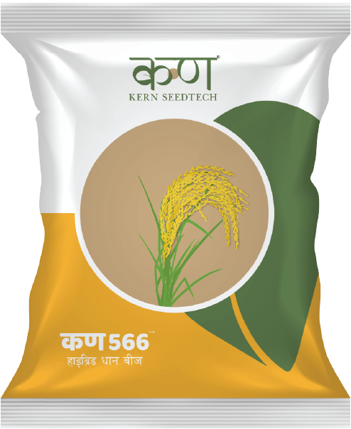 Kern 566 F1 Paddy