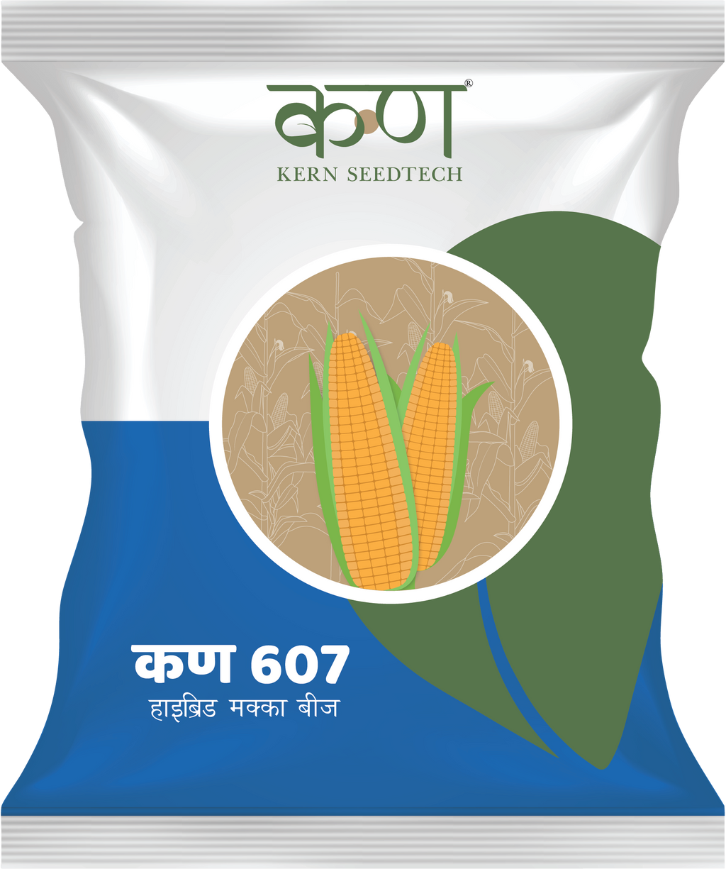 Kern 607 F1 Double Cross Maize