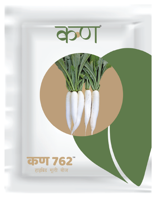 Kern 762 Hybrid Radish