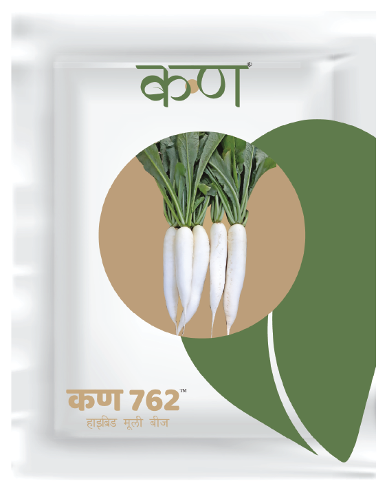 Kern 762 Hybrid Radish