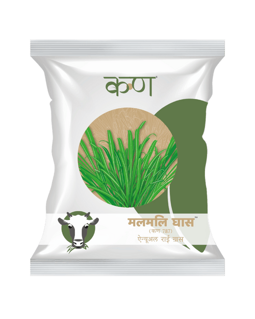 Malmali Ghaas Rye Grass