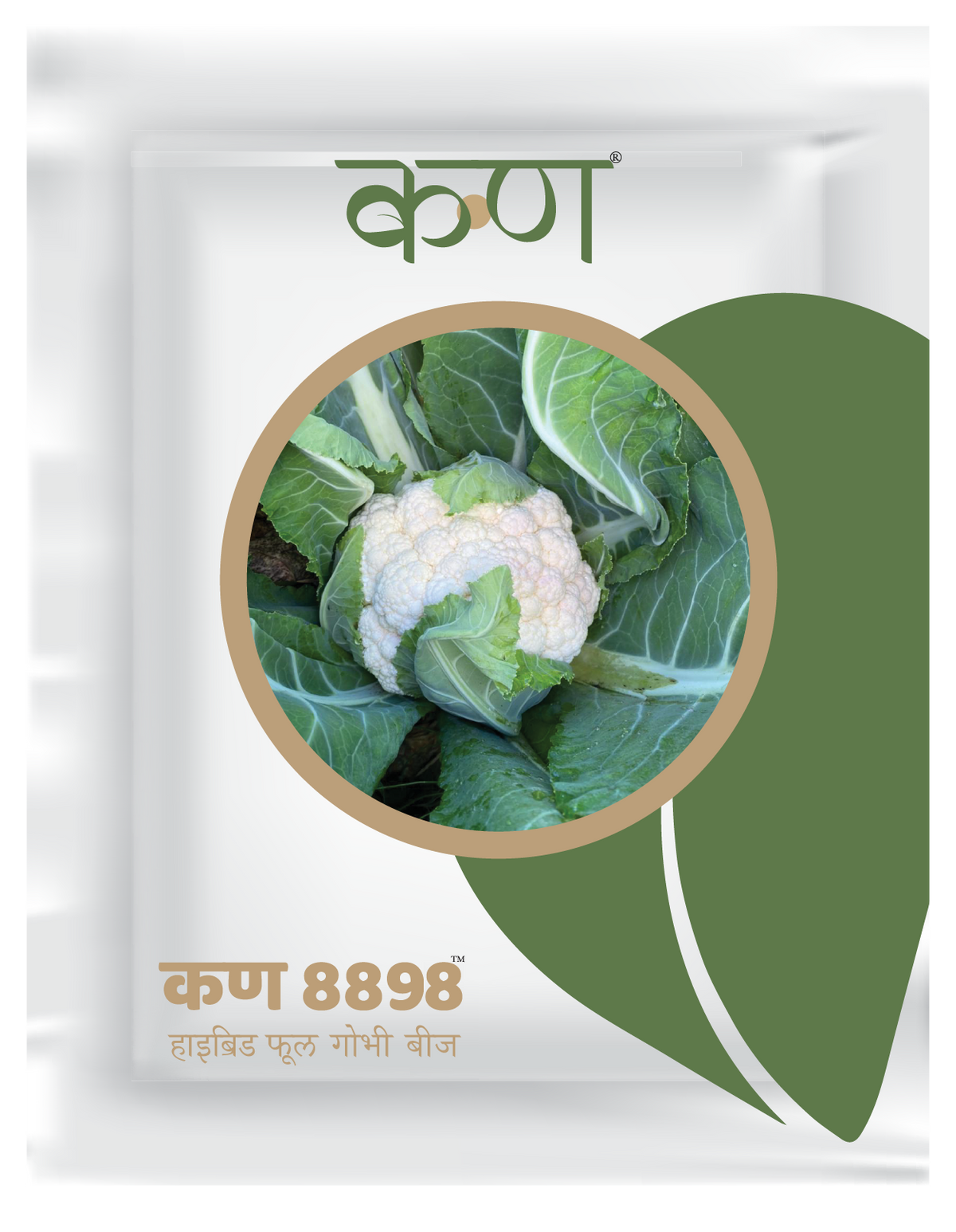Kern 8898 Hybrid Cauliflower