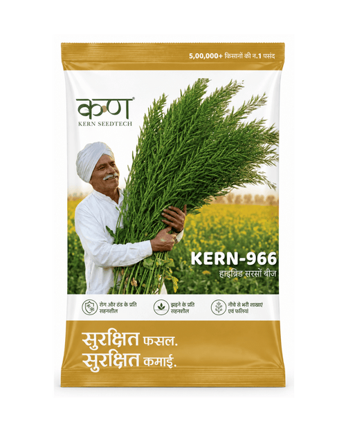 कण 966 हाइब्रिड सरसों बीज