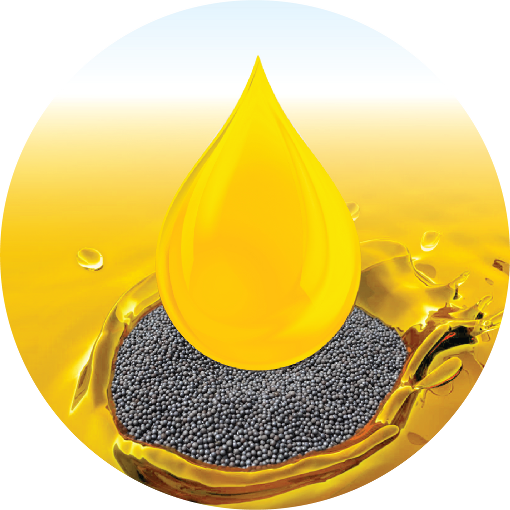 Kern 969 F1 Black Mustard