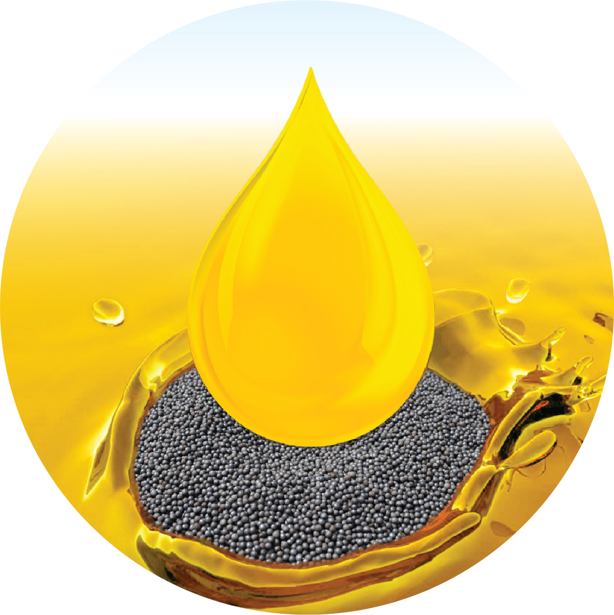 Kern 969 F1 Black Mustard
