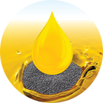 Kern 969 Gold F1 Black Mustard