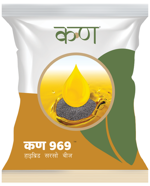 Kern 969 F1 Black Mustard