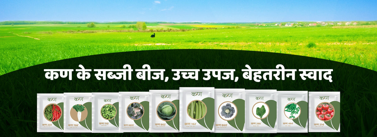 Vegetable seeds