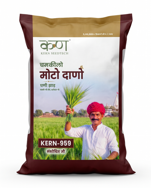 Kern 959 Barley