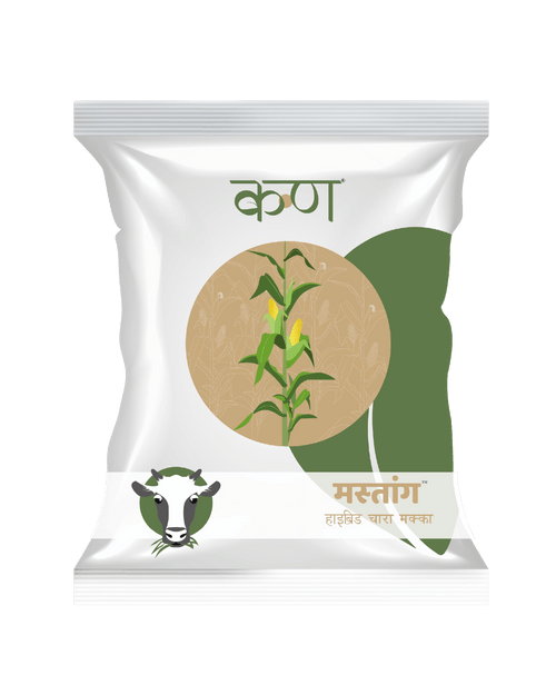 Mustang F1 Forage Maize