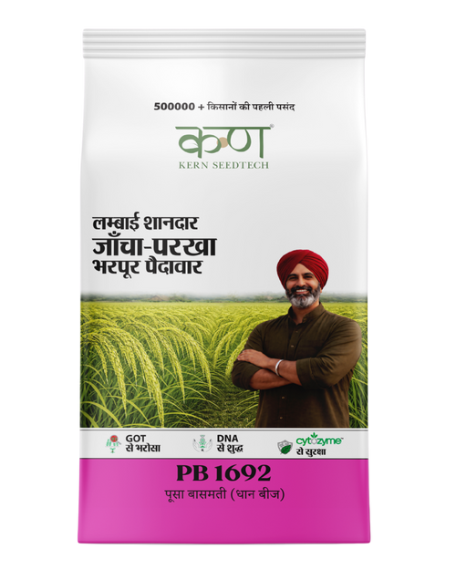 PB 1692 Paddy Basmati
