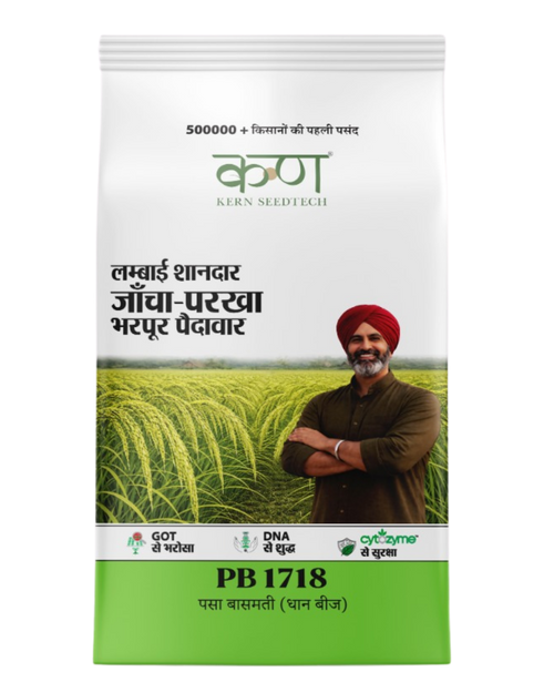PB 1718 Paddy Basmati
