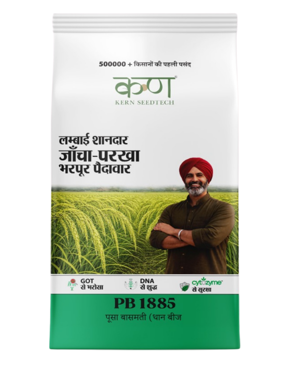 PB 1885 पूसा बासमती (धान बीज) - Kern SeedTech
