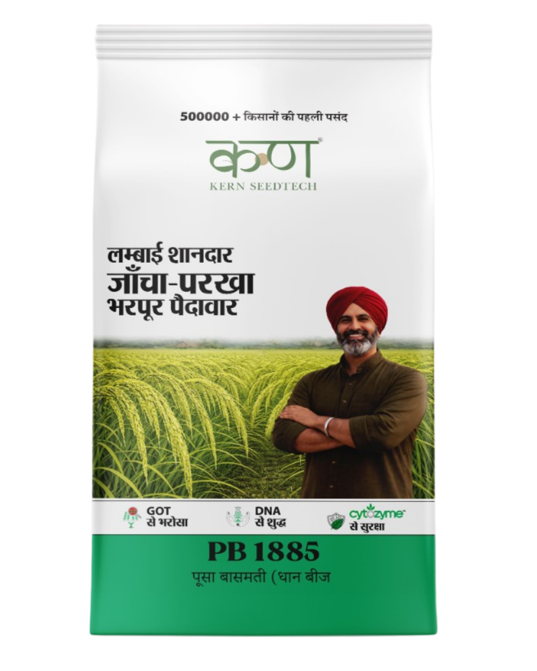 PB 1885 पूसा बासमती (धान बीज) - Kern SeedTech